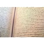Libro DNA