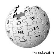 Wikipedia - Enclopedia ed informazione open source