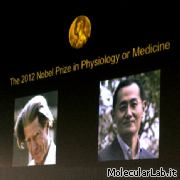 Premi Nobel per la medicina
