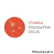 Stamina Foundation
