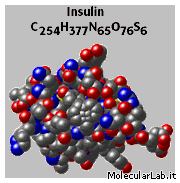 Struttura insulina