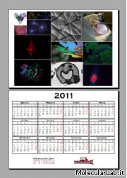 Calendario di Scienza 2011 By MolecularLab