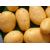 Stop alla patata OGM Amflora
