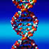 DNA_