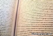 Libro DNA