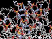 Struttura molecolare di lipidi