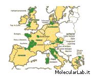 In verde Regioni Europee anti-OGM