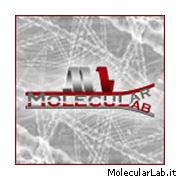 MolecularLab.it