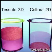 Stampante 3D realizza un fegato