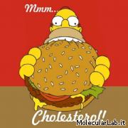 Homer Simpson ed il colesterolo..