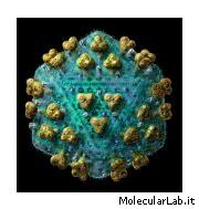 Virione HIV