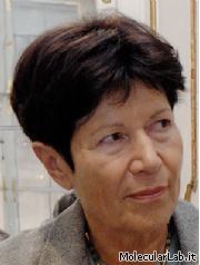 Helga Nowotny, Presidente del CER