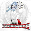 Convegno Studi Ecsel-MolecularLab su La bioetica in Italia