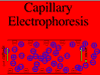 Animazione elettroforesi capillare
