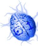 Digital Brain