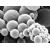 Le nanoparticelle non superano la pelle