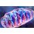 Nuove informazioni sulla struttura dei mitocondri