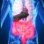 Scienziati scoprono tre tipi di intestino umano