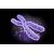 Craig Venter: realizzato cromosoma di sintesi