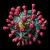 Alcuni scienziati nei Paesi Bassi hanno rivelato la struttura tridimensionale del coronavirus