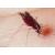 Ammalare le zanzare per ridurre la malaria