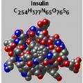 Struttura insulina