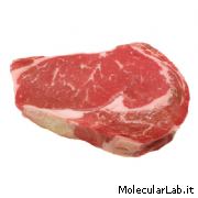 Bistecca di carne